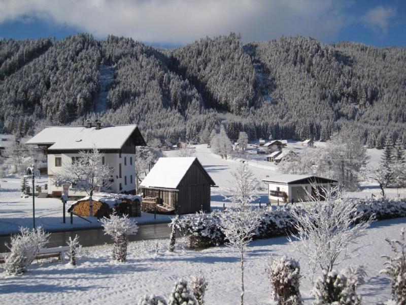 Ferienwohnung Vierthaler ゴーザウ エクステリア 写真